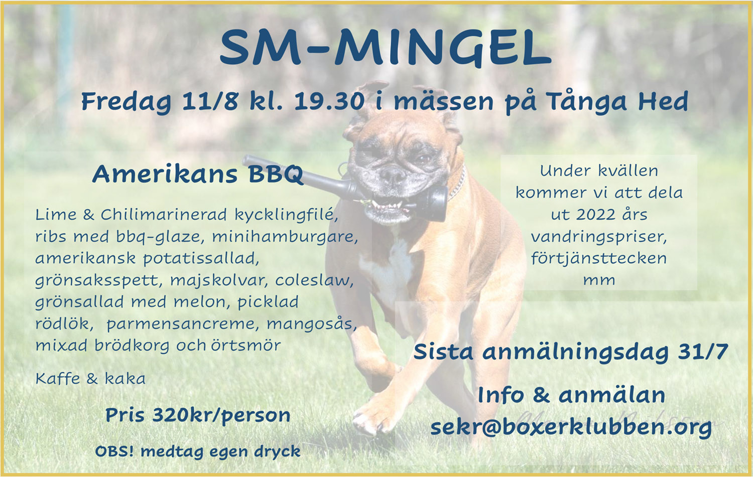 smMingel2023
