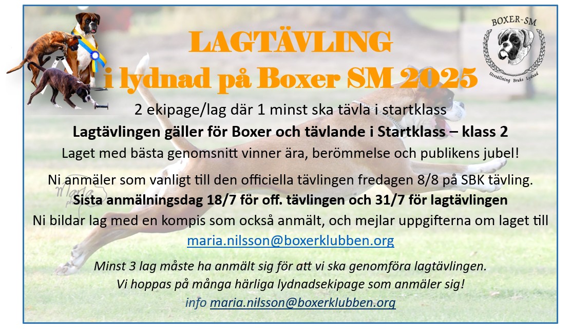lagtavlingBoxerSmLydnad2025