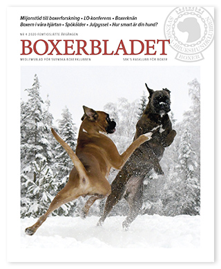 boxerbladsframsida