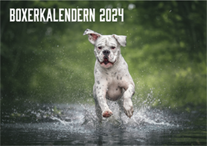 puffKalender2024Clean