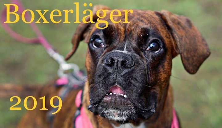 lager2019