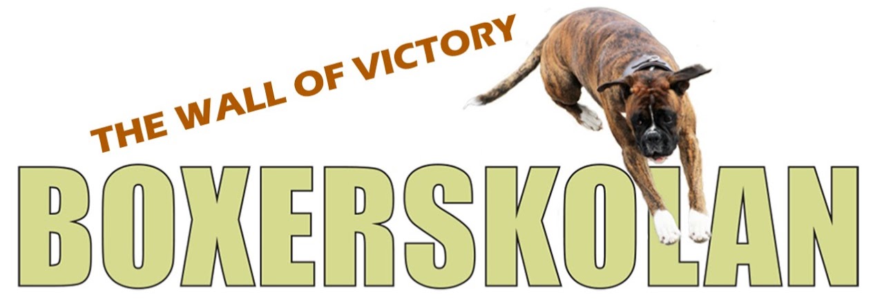 boxerskolanWallOfVictory