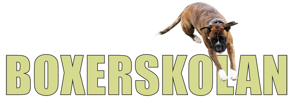 boxerskolan
