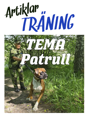 traningPatrull