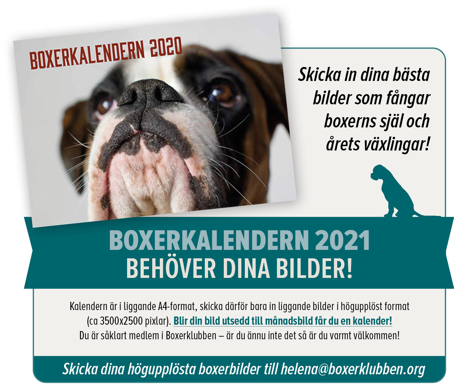 boxerkalender2021Puff