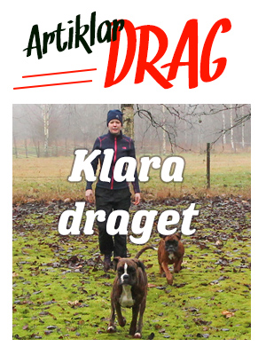 tileKlaraDraget