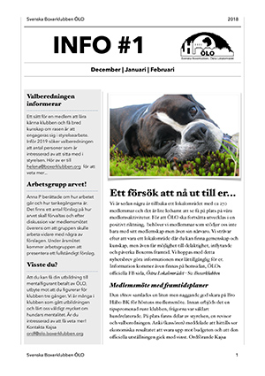 tileInfobrevOlo01