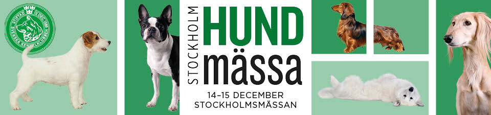 teaserSthlmHundmassa2019