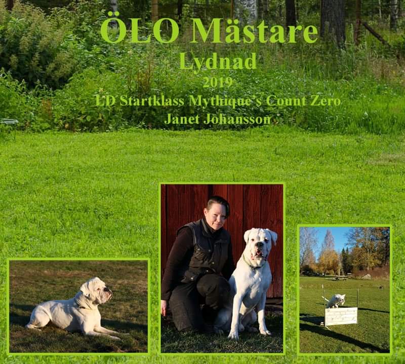 oloLydnad2019Janet