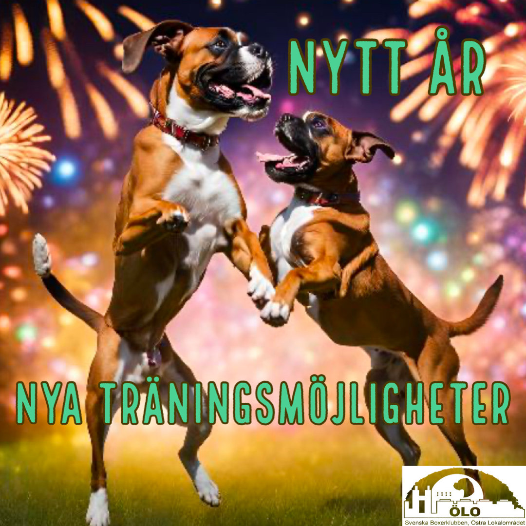 Nytt år - nya träningsmöjligheter