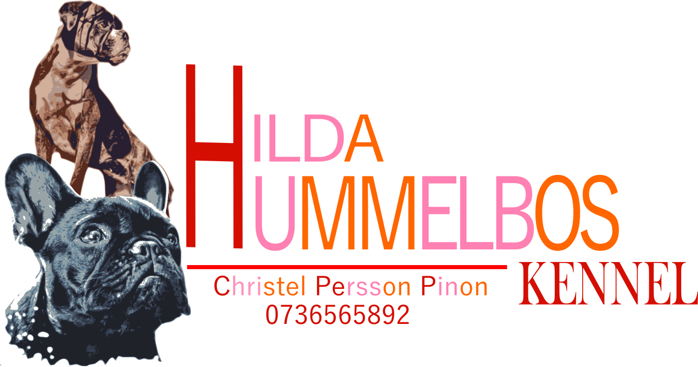 Hilda Hummebos