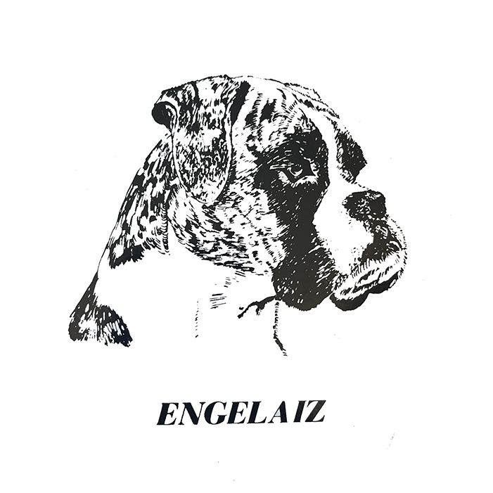 loggaEngelaiz