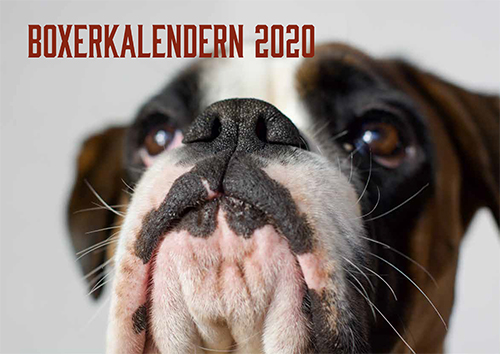 boxerkalendern2020Puff