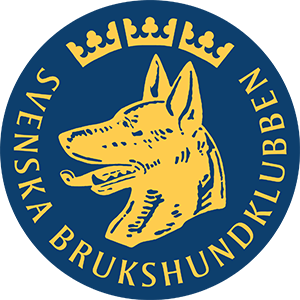 sbkLogo