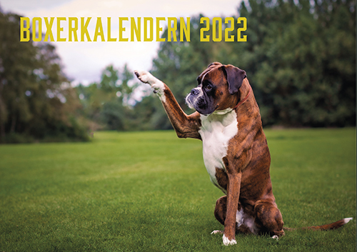 puffKalender2022
