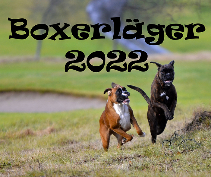 boxerlager2022