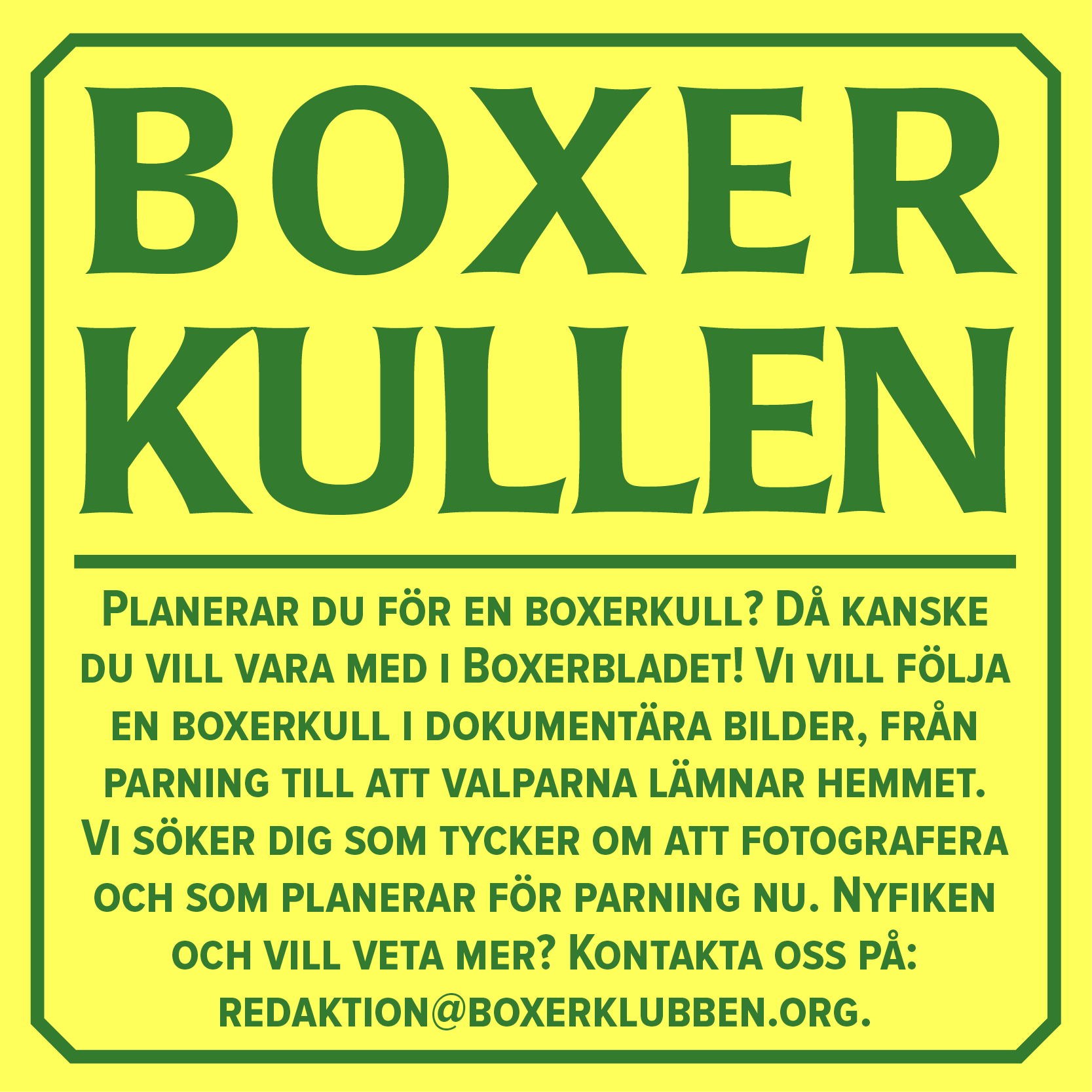 boxerkullen