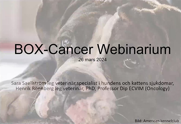 boxcancerWebinarium