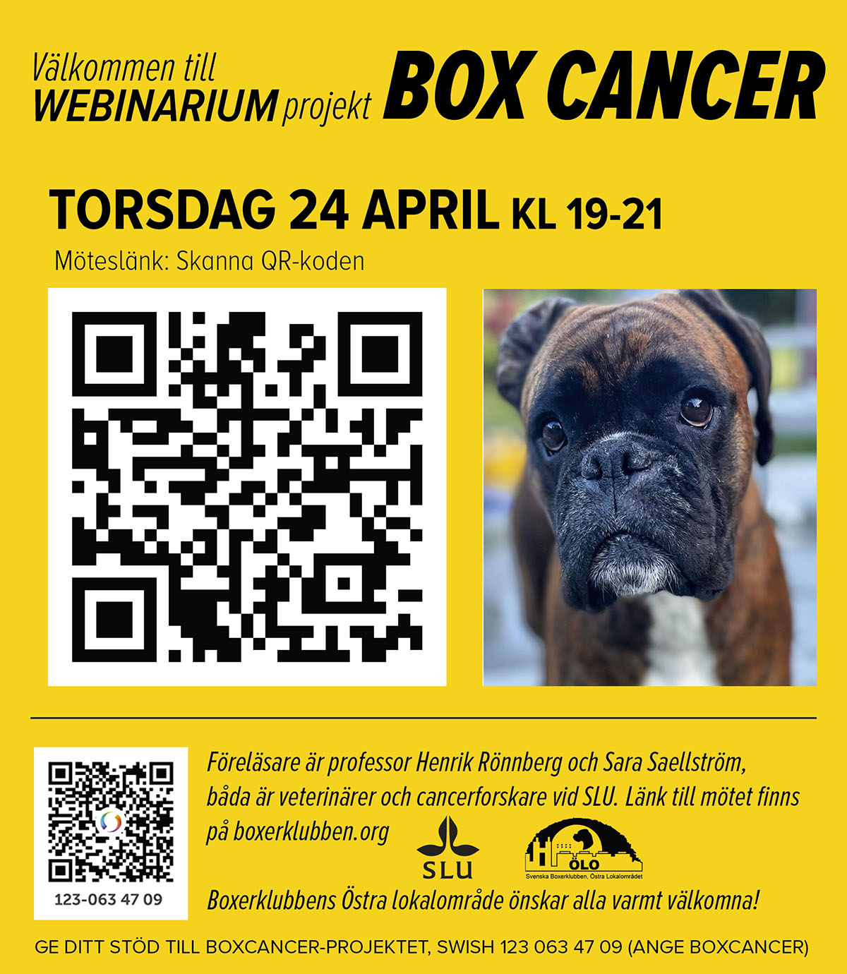 boxcancerWebinariumVt2025