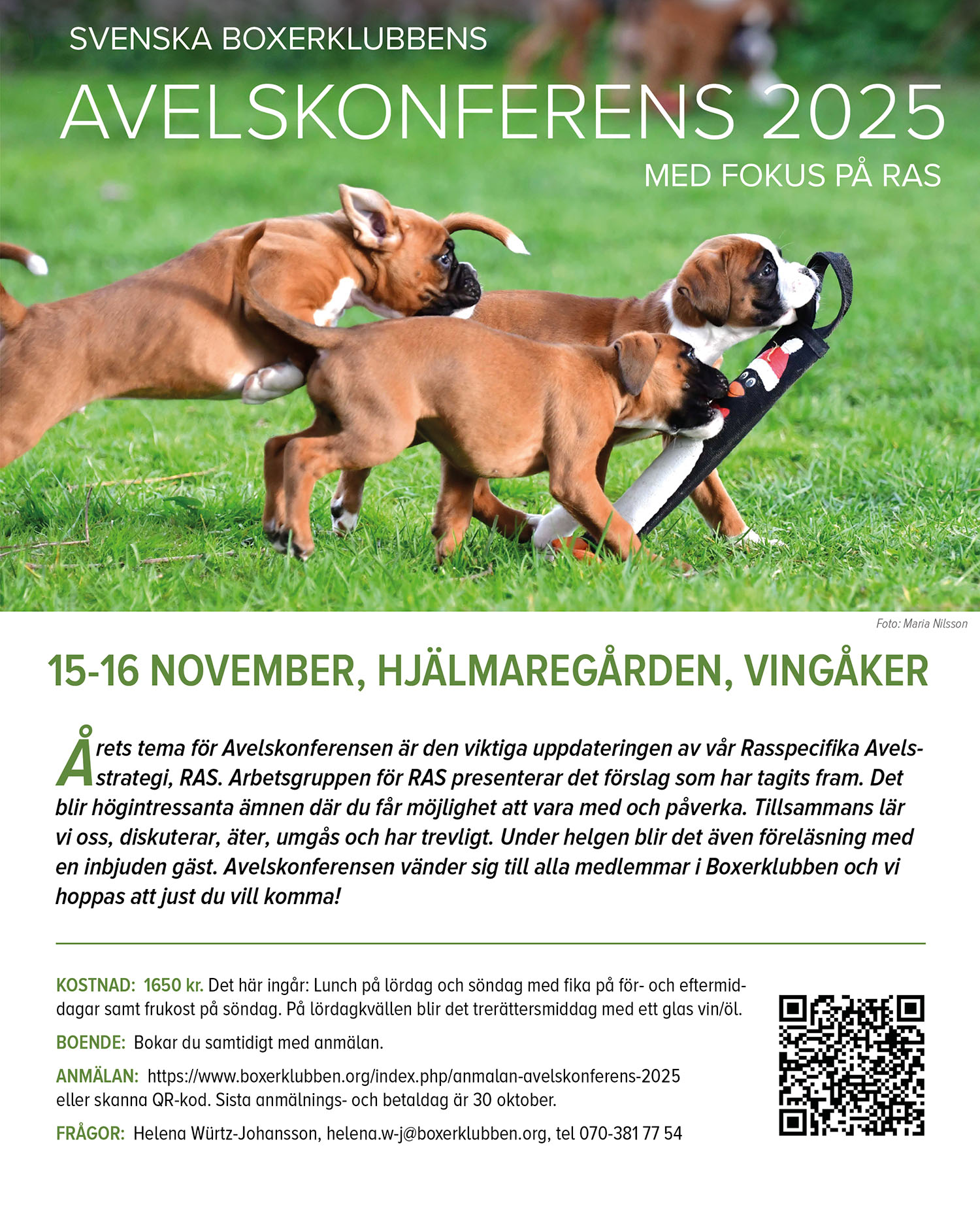 Annons Avelskonferens 2025