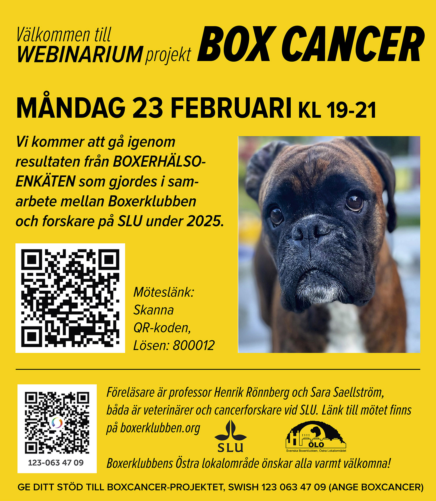 boxcancerWebinariumVT2026