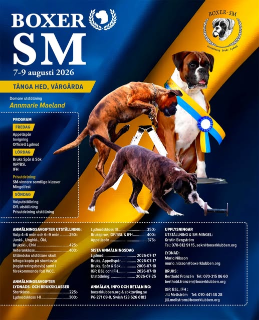 annonsBoxerSM2026