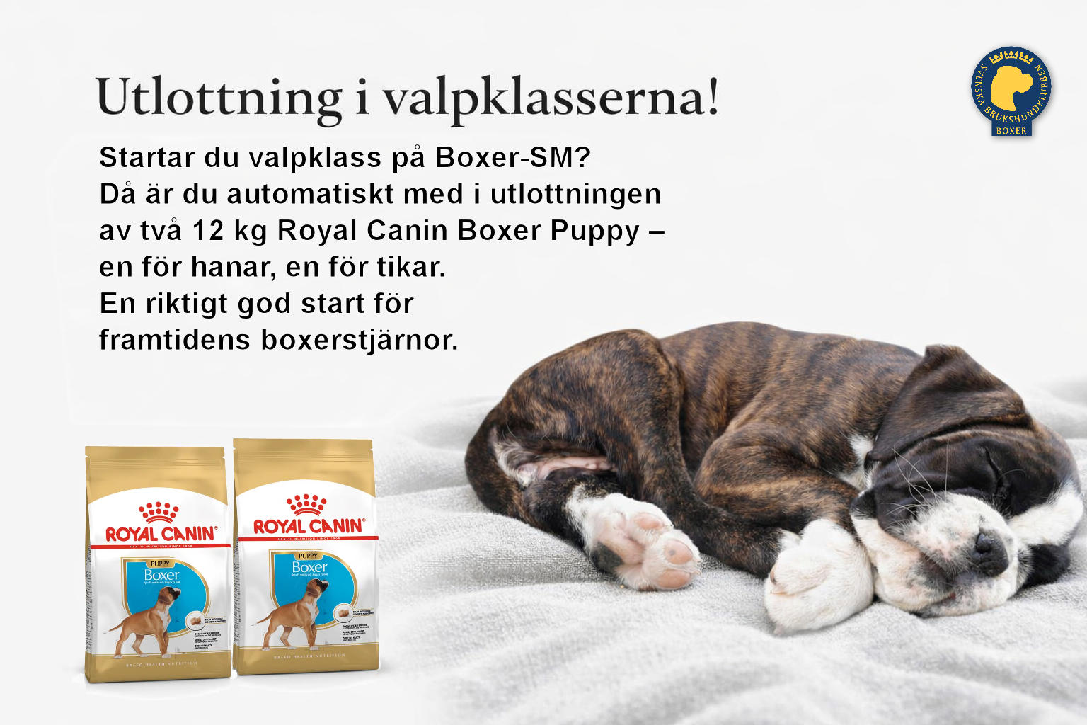 SM Valp